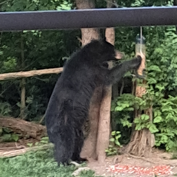 Meet your Posher, Janet - Picture 11 of 12